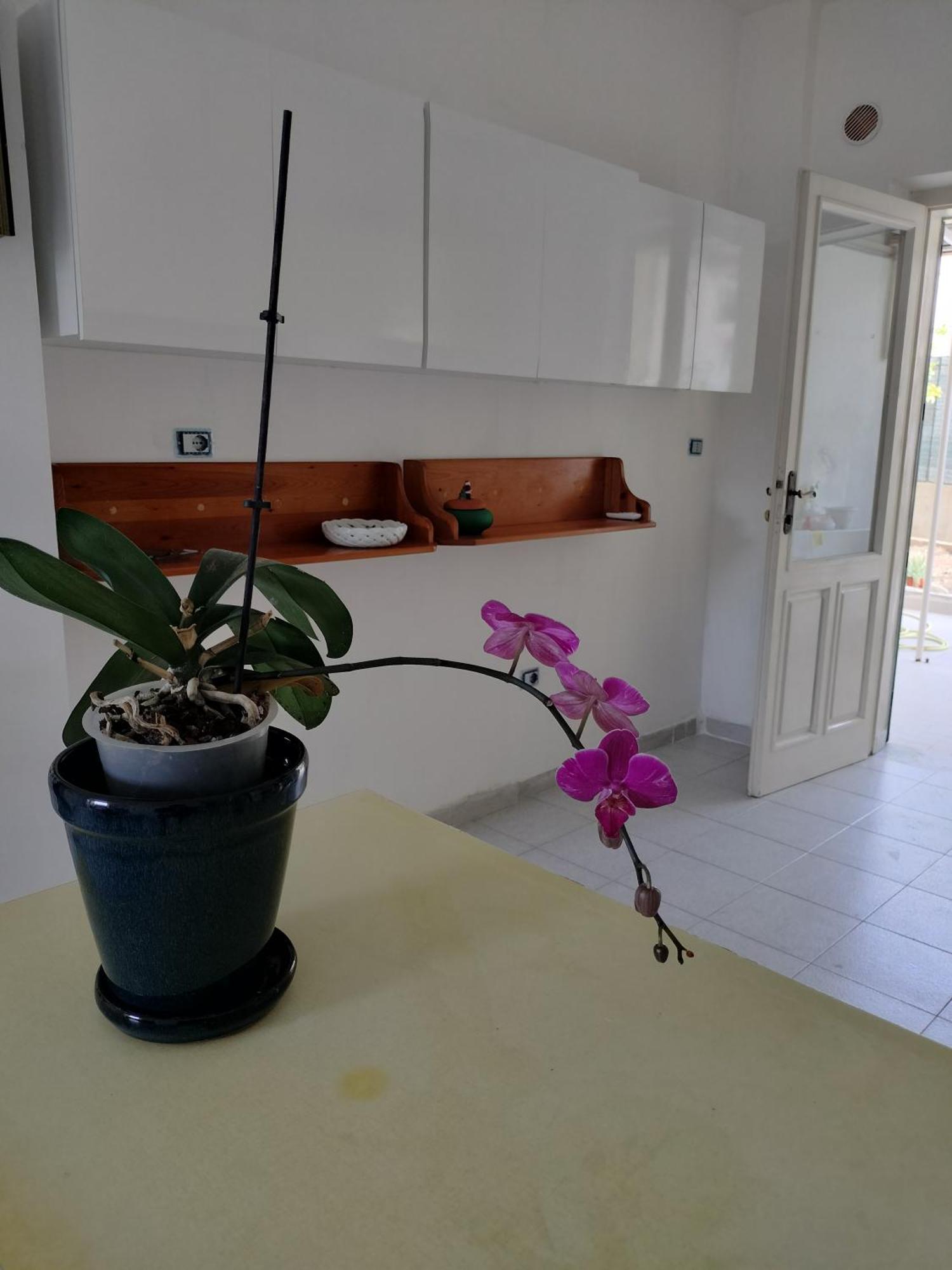 Apartamento Sunny House Parghelia Exterior foto
